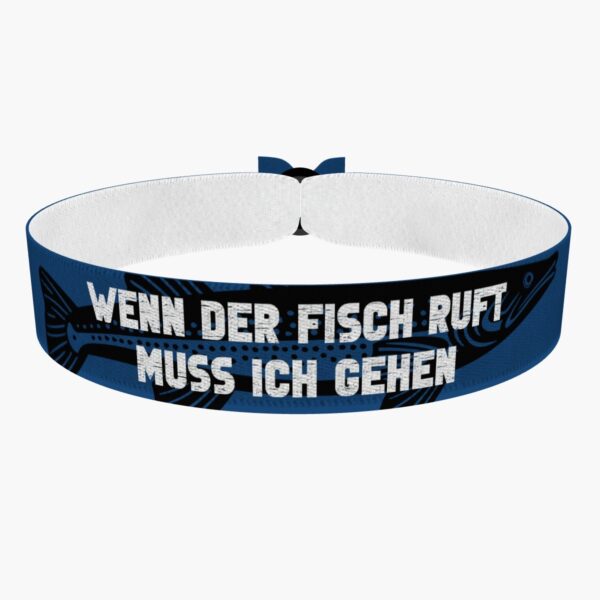 Ansicht von vorne: 